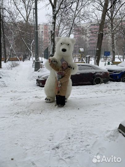 Белый мишка на праздник