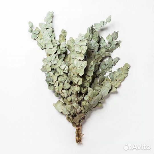 Эвкалипт сер, Веники, травы (запарки для бани)