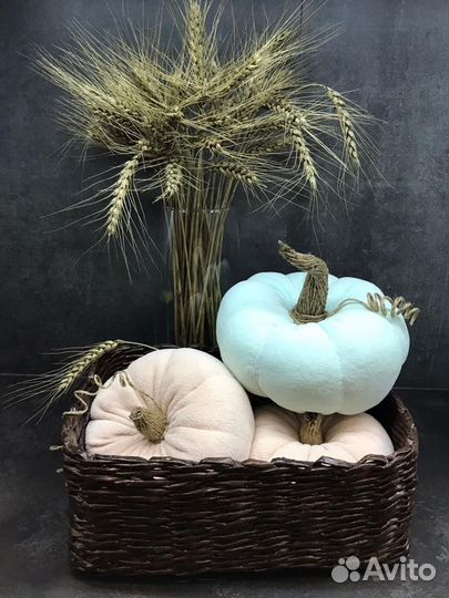 Тыква декоративная