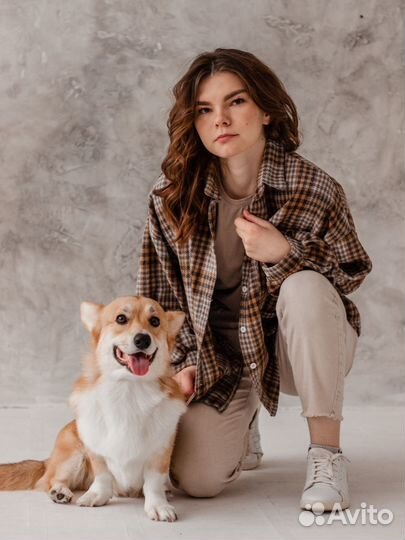 Обучение собак/кинолог