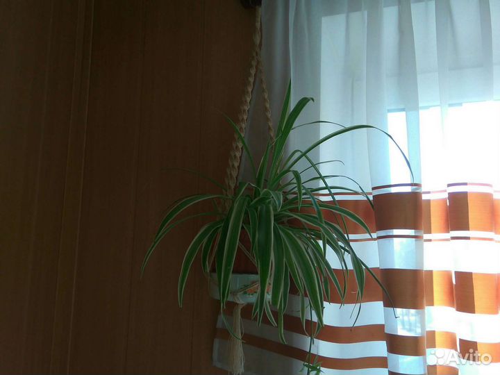 Для подвески цветов