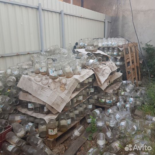 Стеклянный банки