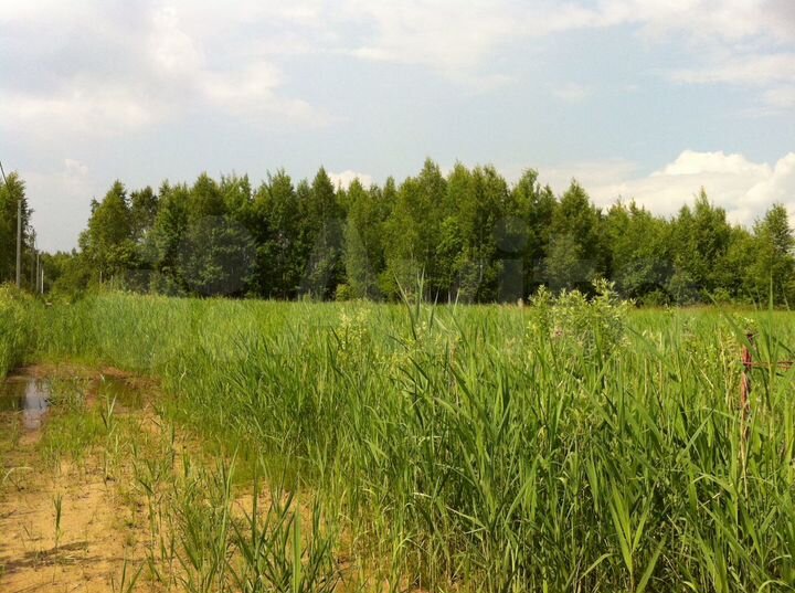 Участок 24 сот. (СНТ, ДНП)