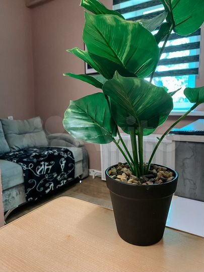 Квартира-студия, 18 м², 1/1 эт.