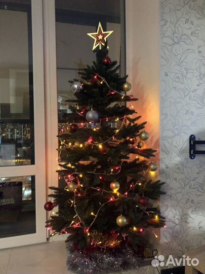 Елка Triumph Tree Шервуд Премиум 1.55