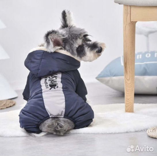 Комбинезон для собак