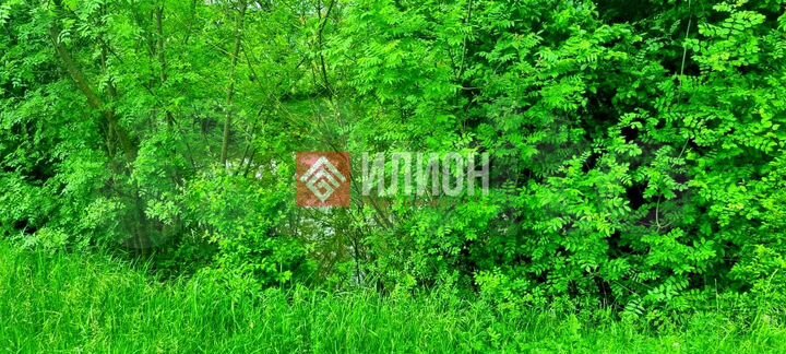 Участок 24 сот. (ИЖС)