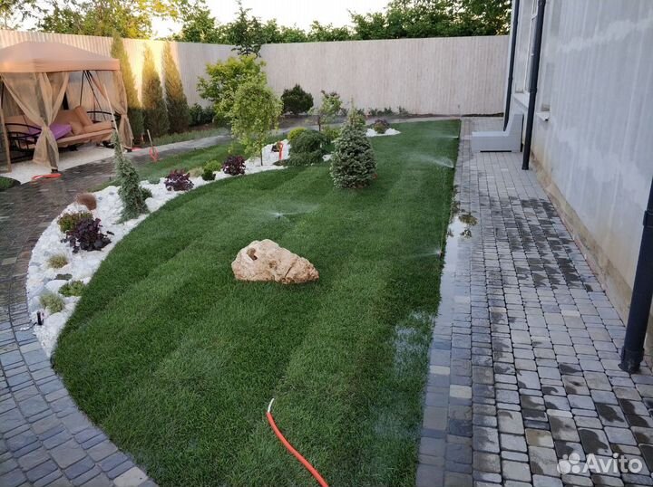 Рулонный газон премиальный (Укладка)