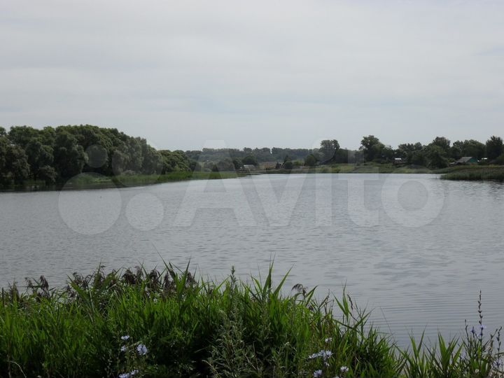 Дом 56 м² на участке 16 сот.