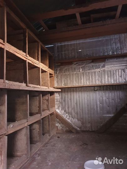 Голубятня продажа