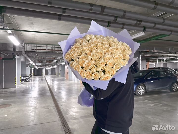 101 Роза 51 Роза Цветы