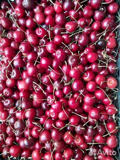 Фрукты и овощи