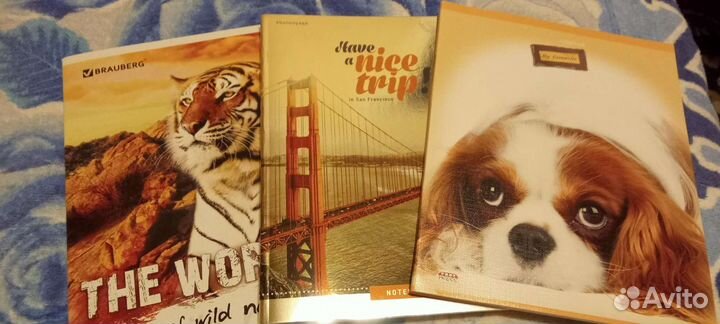 Тетради школьные общие