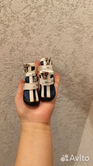 Обувь для собак мелких пород