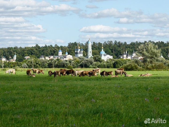 Экскурсия — Калуга — Оптина пустынь иШамордино: по