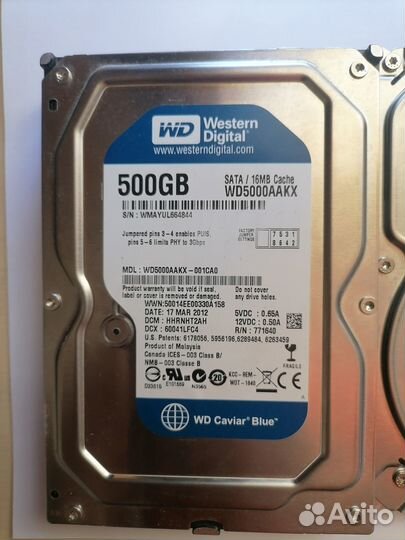Жесткий диск 500 гб
