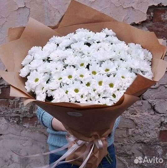 Хризантема