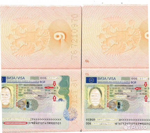 Виза в Болгарию до 1 года