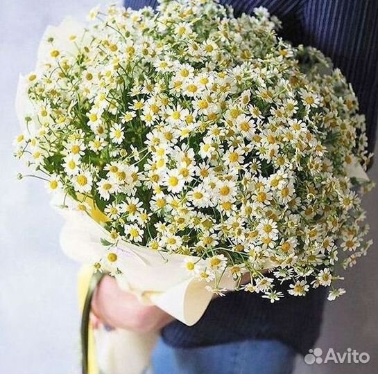 Цветы ромашки. Букеты ромашек. Цветы доставка