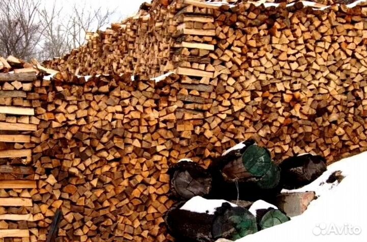 Дрова с Зеленогорска