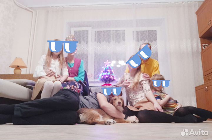 Собака в добрые руки