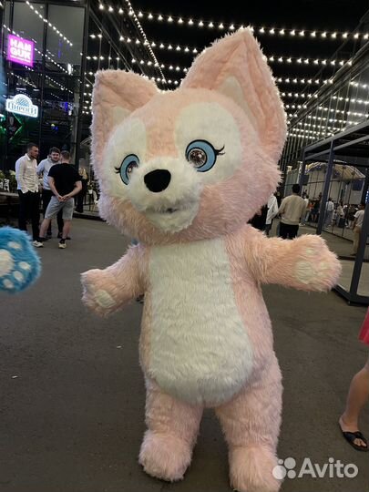 Праздники Аниматор Поздравление от белочек