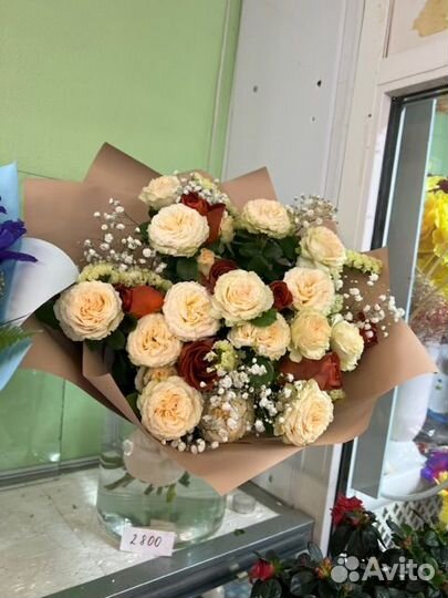 Комнатные растения цветы с доставкой