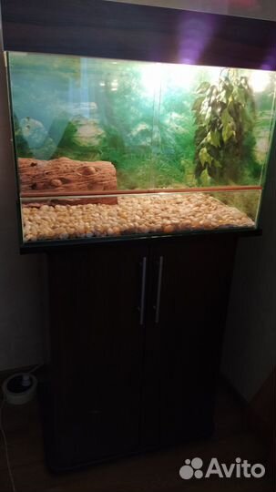 Террариум для рептилий (с тумбой)