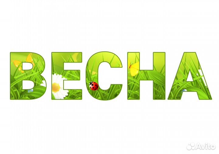 Требуется кассир-оператор