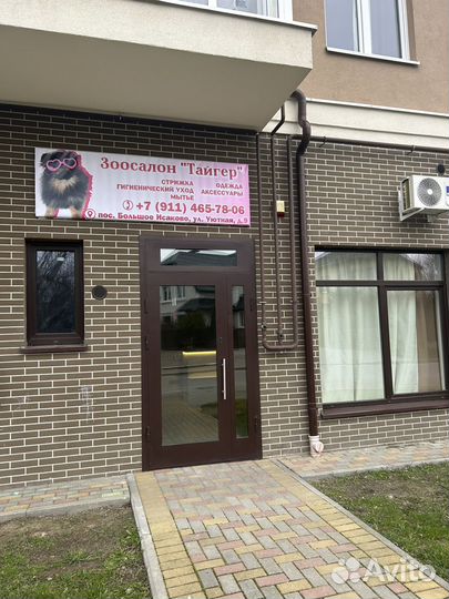 Стрижка собак/кошек зоосалон Тайгер