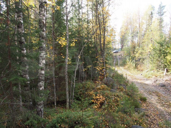 Участок 15 сот. (СНТ, ДНП)