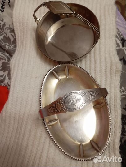 Лимонницы СССР