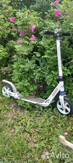Самокат взрослый