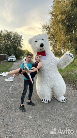 Белый мишка, чебурашка, зайка, панда на праздник