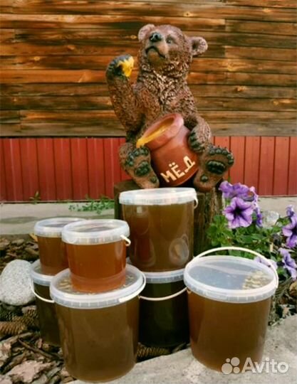 Мёд/Сибирский