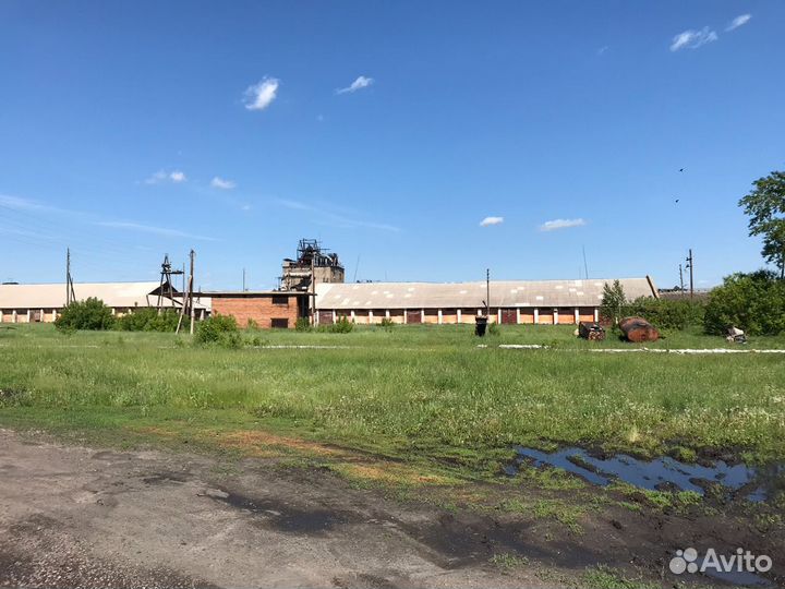 Продажа элеватора