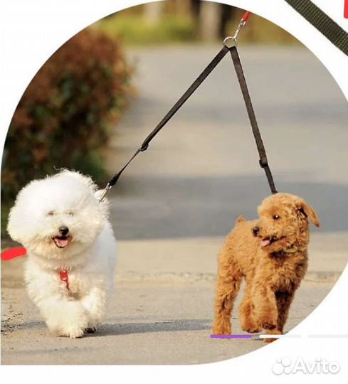 Поводок- сворка