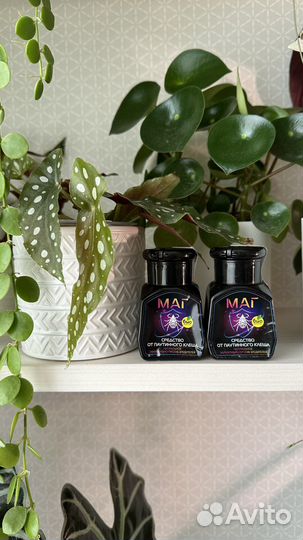 Средство от паутинного клеща