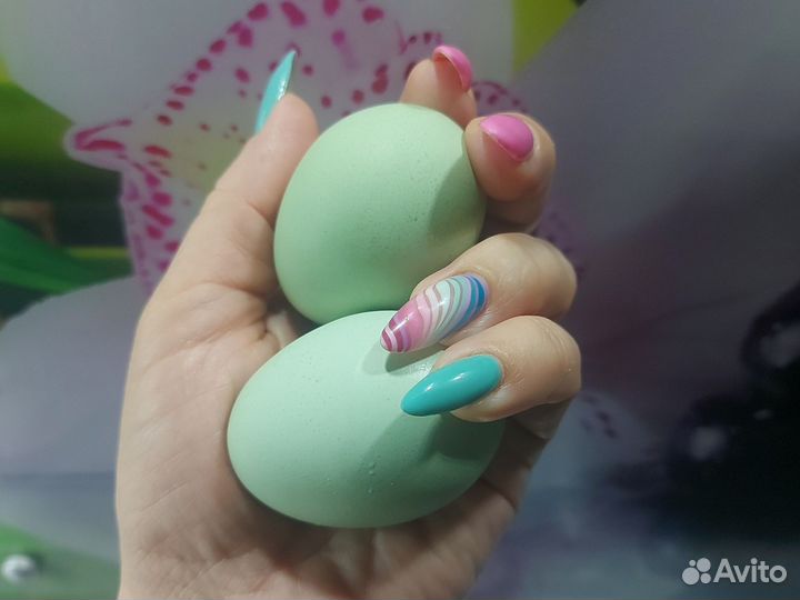 Инкубационное яйцо