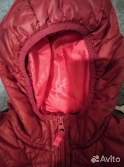 Демисезонная куртка тополино