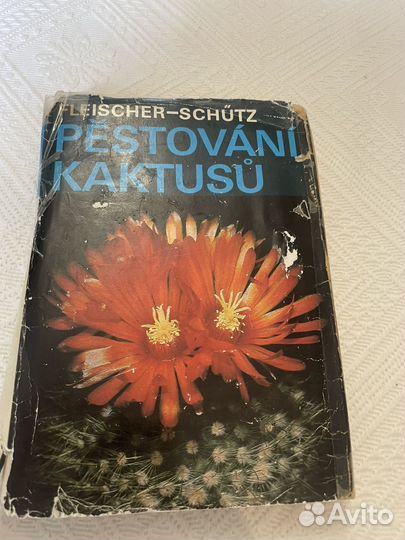 Книга о кактусах