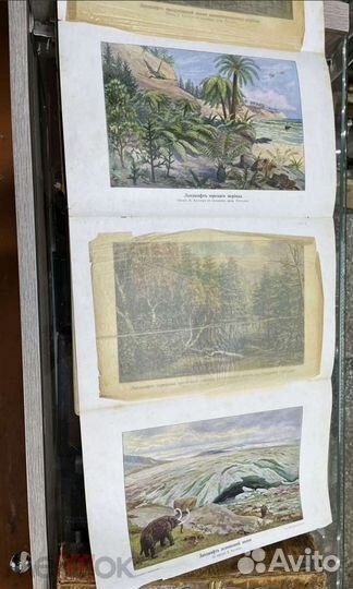 Крэмер Ганс. Вселенная иЧеловечество. В 5-и томах