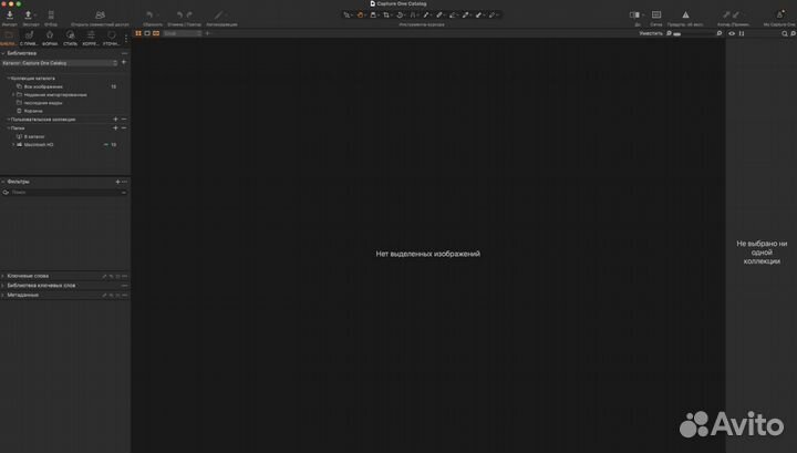 Capture One Pro / Enterprise + стили пресеты Win
