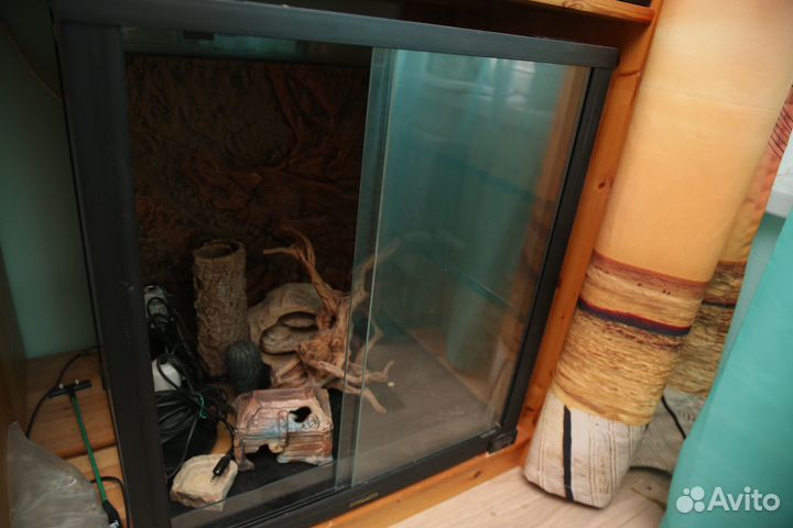 Террариум вертикальный для рептилий