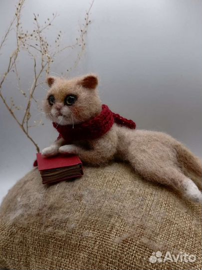 Кот Котенок