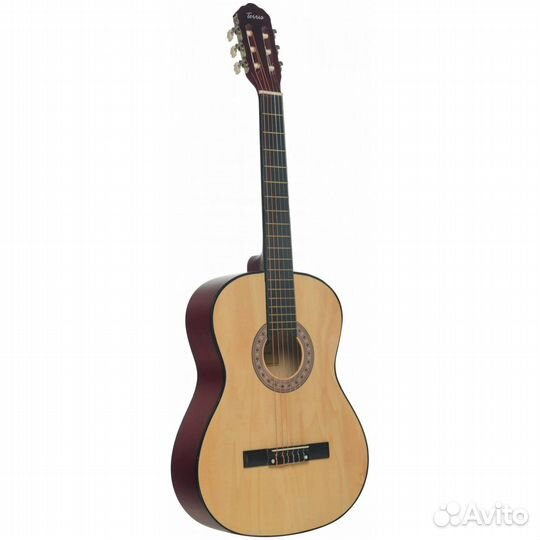 Классическая гитара Terris TC-3901A NA