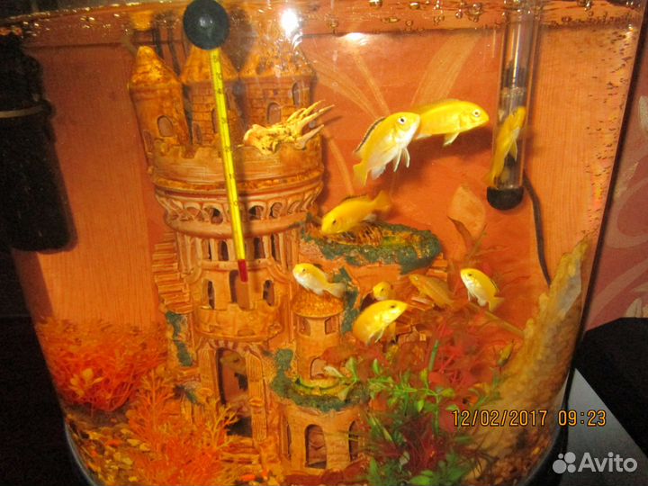 Аквариум jebo