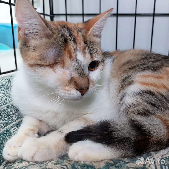 Без глазика никому не нужна