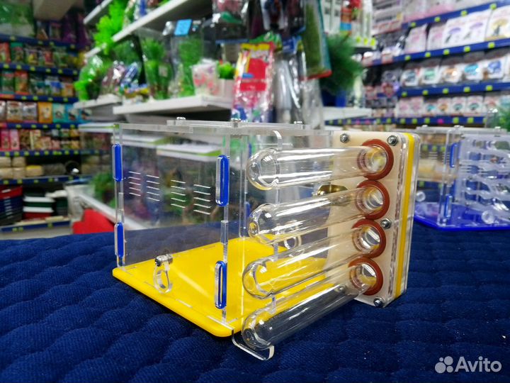 Формикарий (муравьиная ферма), новые, разные