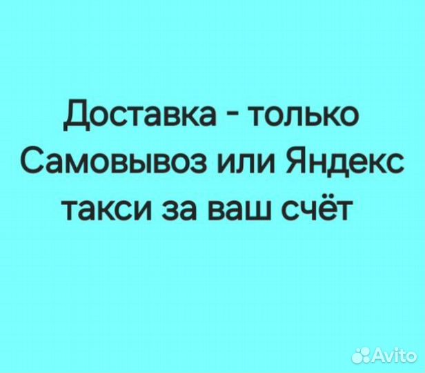 Фиалка сортовая - укоренённый лист